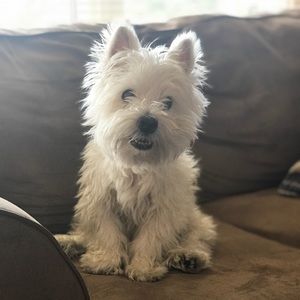 Meet your Posher, Gretchen